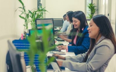 Cómo la Automatización Contable y la Inteligencia Artificial Transforman las PYMES en 2024